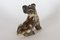Vintage Danish Terrier Figurine by Knud Kyhn for Royal Copenhagen 1955 6