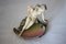 Nude Statuette from Olimpia, 1940s 2