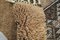 Antique Wool & Goat Hair Carpet 5