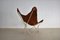 Vintage Butterfly Lounge Chair by Jorge Ferrari-Hardoy for Knoll Inc. / Knoll International, 1950s 4