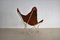 Vintage Butterfly Lounge Chair by Jorge Ferrari-Hardoy for Knoll Inc. / Knoll International, 1950s, Immagine 4