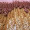 Epoca Due Rug M Pink and Mustard 100% Wool from Portego, Imagen 4