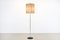 Vintage Model 250 Floor Lamp from Raak, 1960s 1