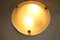 Vintage Frosted Glass Ceiling Lamp from Fischer Leuchten 6