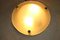 Vintage Frosted Glass Ceiling Lamp from Fischer Leuchten, Image 6
