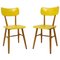 Mid-Century Dining Chairs from Thonet, Czechoslovakia, 1960s, Set of 2 1