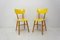 Mid-Century Dining Chairs from Thonet, Czechoslovakia, 1960s, Set of 2 2