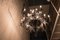 Lámpara de araña Gina de acero negro de Enzo Scibetta para MYOP, Imagen 5