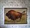 Vintage Poster von Buffalo 1