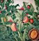 Poster Mid-Century di Potato Beetle, Immagine 4