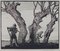 Heuhäcksler Holzschnitt von Eric Hesketh Hubbard, 1940er 1