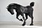 Escultura de caballo de hierro soldada de Lida Boonstra, 1998, Imagen 5
