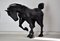 Escultura de caballo de hierro soldada de Lida Boonstra, 1998, Imagen 7