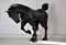 Iron Welded Horse Sculpture by Lida Boonstra, 1998, Image 7