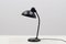 Vintage Model 6556 Table Lamp by Christian Dell for Kaiser Idell / Kaiser Leuchten 1