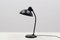 Vintage Model 6556 Table Lamp by Christian Dell for Kaiser Idell / Kaiser Leuchten, Image 1