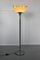 Mid-Century Floor Lamp by Franco Bresciani for Guzzini 9