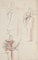 Studies for Costumes Pencil and Pastel by Georges Antoine Rochegrosse, Image 1