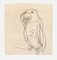 Parrot - Original Pencil on Paper by G. Galantara - Late 19th Century Late 19th Century 1