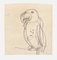 Parrot - Original Pencil on Paper by G. Galantara - Late 19th Century Late 19th Century, Image 1