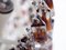 5-stufiger Triedi Kronleuchter mit bernsteinfarbenen Murano Glas Prismen, 1960er 11