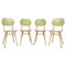 Mid-Century Dining Chairs from Ton, 1960s, Set of 4, Image 1