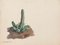 Kaktus Aquarell und Bleistift auf elfenbeinfarbenem Papier von R. Cazanove 1