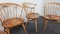 Chaise de Salle à Manger Cowhorn par Lucian Ercolani pour Ercol, 1960s 3