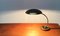 Mid-Century 6751 Table Lamp by Christian Dell for Kaiser Idell / Kaiser Leuchten 16