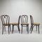 Mid-Century Bentwood & Cane Dining Chairs by Michael Thonet for ZPM Radomsko, 1960s, Set of 4 2