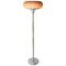 Vintage Floor Lamp by Harvey Guzzini, 1960s 1