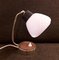 Small Swiveling Table Lamp with Brass Frame, 1960s, Image 1