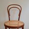 No. 14 Dining Chairs by Michael Thonet for Fischel, 1920s, Set of 3 10