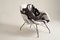 Fauteuil Concha Moderne par Martin Eisler & Carlo Hauner, 1950s 1