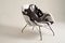 Modern Concha Armchair by Martin Eisler & Carlo Hauner, 1950s, Image 1
