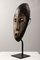 Democratic Republic of Congo LEGA mask, 1950s 4