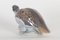 Vintage Danish Porcelain Partridge Figurine by Peter Herold for Royal Copenhagen, 1980s, Image 4