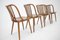 Dining Chairs by Antonín Šuman, Czechoslovakia, 1960s, Set of 4 5