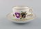 Royal Copenhagen Saxon Flower Coffee Cups with Saucers and Plates, Set of 6 3