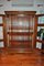 Antiker Ungarischer Glas und Holz Schrank 4