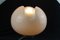 Lámparas de mesa Mushroom de Peill & Putzler, años 60. Juego de 2, Imagen 8