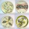 Ceramic Horse Races Plates by Remo Brindisi, 1970s, Set of 4 1