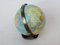 Small Terrestrial Globe from Columbus Verlag Paul Oestergaard, 1950s 7