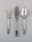Lunch Service for 6 People by Johan Rohde for Georg Jensen, 1930s, Set of 18 3