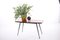 Table Plantable en Palissandre ou Table d'Appoint avec Pieds en Métal Noir 5