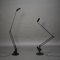 Flamingo Tischlampen von Fridolin Naef für Luxo, 1980er, 2er Set 4