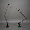 Lampes de Bureau Flamingo par Fridolin Naef pour Luxo, 1980s, Set de 2 4