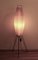 Tripod Floor Lamp in the style of Rispal, 1950s, Image 3