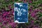 Blue Flower Bouquet, 2020, Cyanotype, Image 3