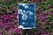 Bouquet de fleurs bleues, 2020, cyanotype 3